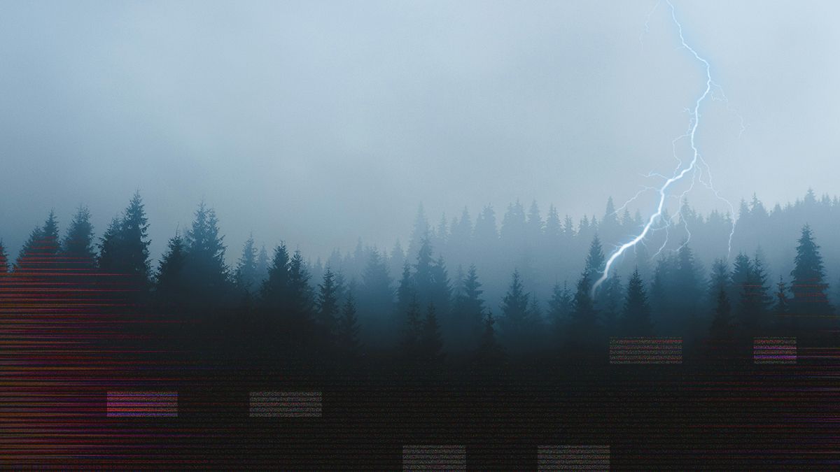 Загибель дерев від блискавки – прихована загроза для клімату та лісів планети