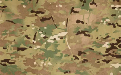 Multicam