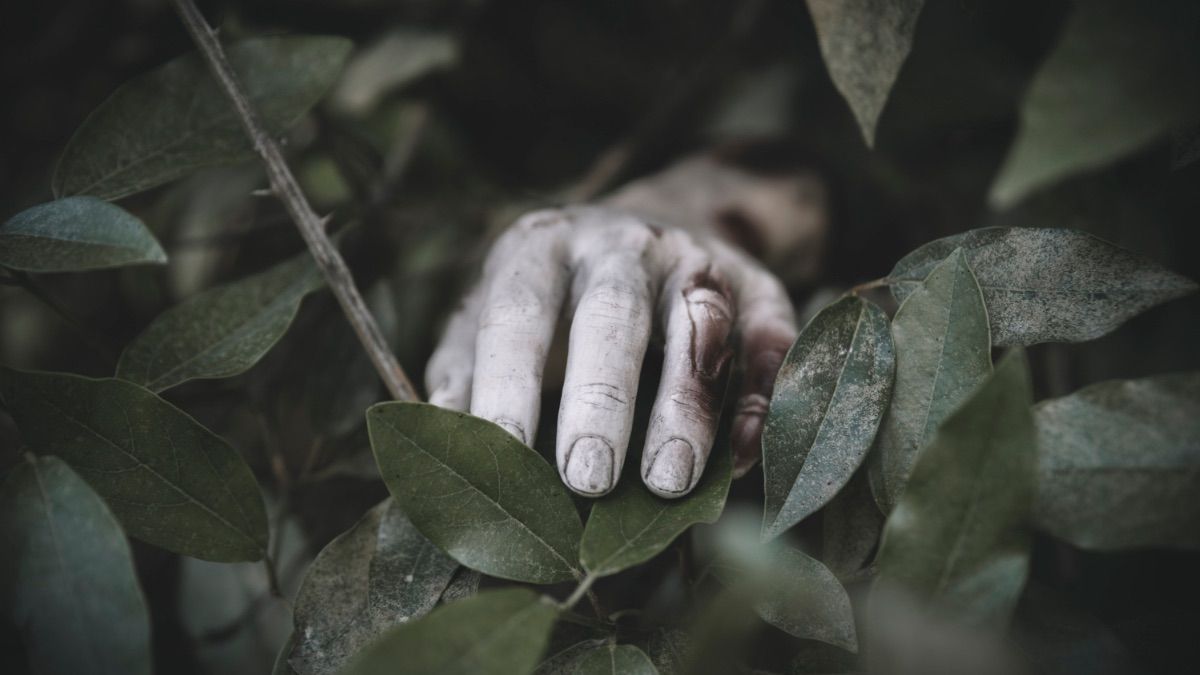 Почему покойника нельзя оставлять одного в доме