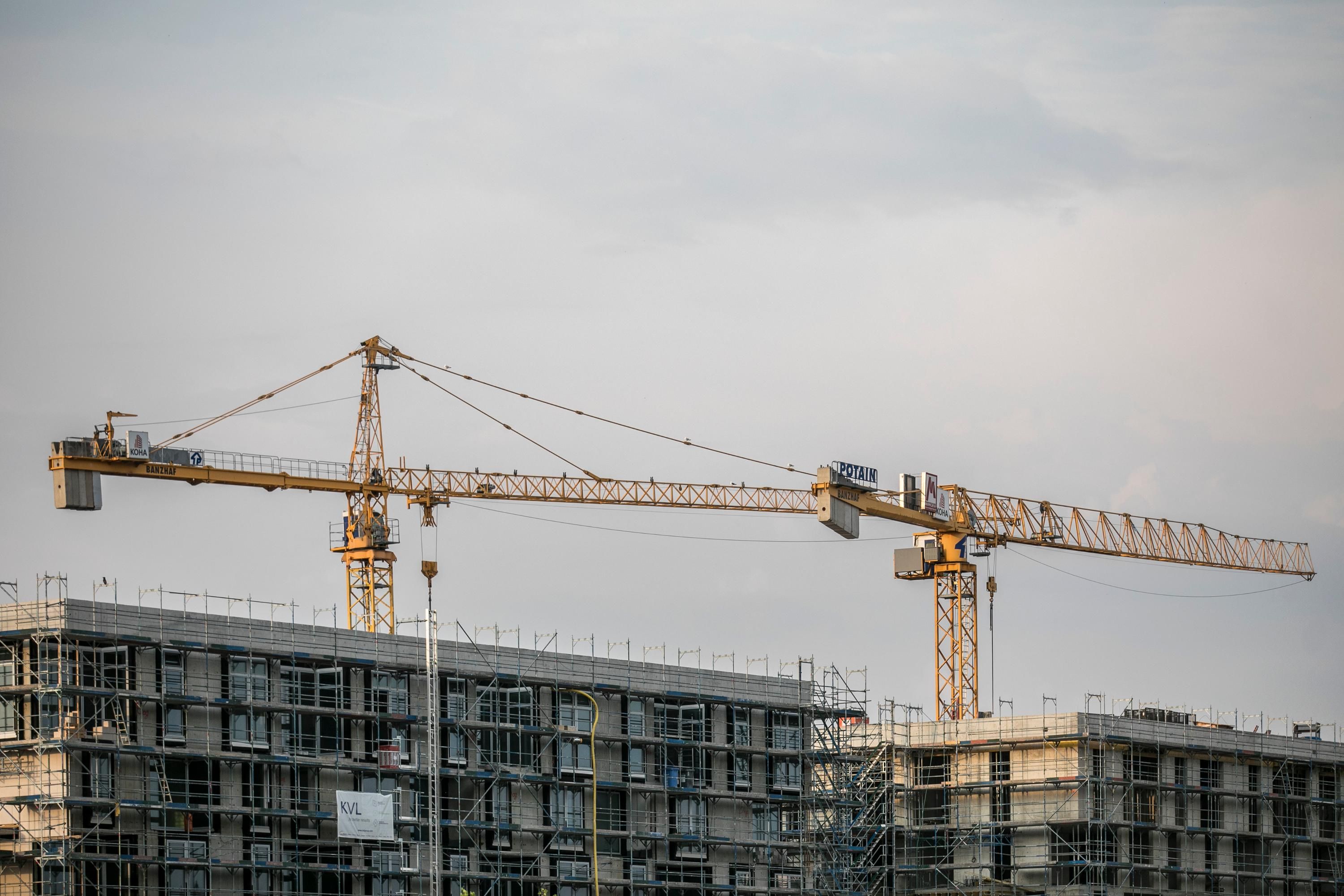 Історія судових спорів довкола екопарку Осокорки в Києві Історія судових спорів довкола екопарку Осокорки в Києві