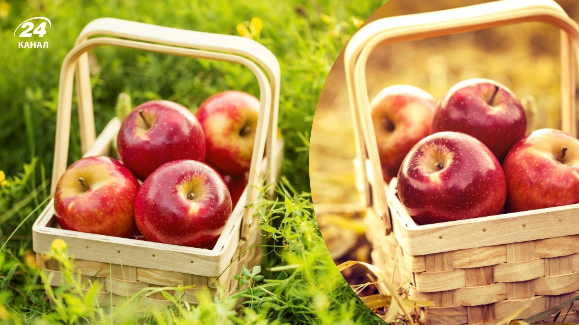 Що не можна робити на Яблучний Спас 2025