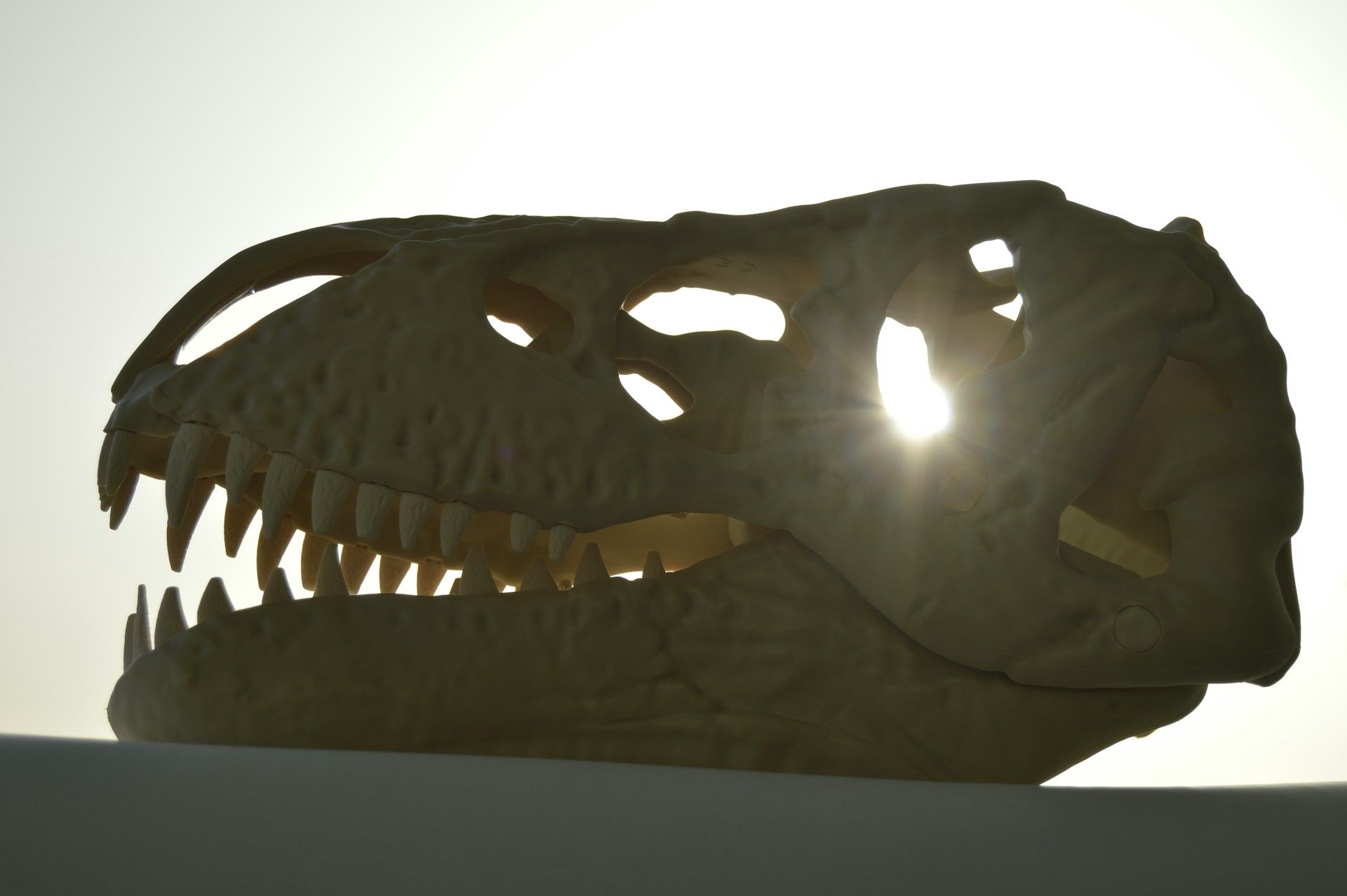 Не всі динозаври кусали однаково