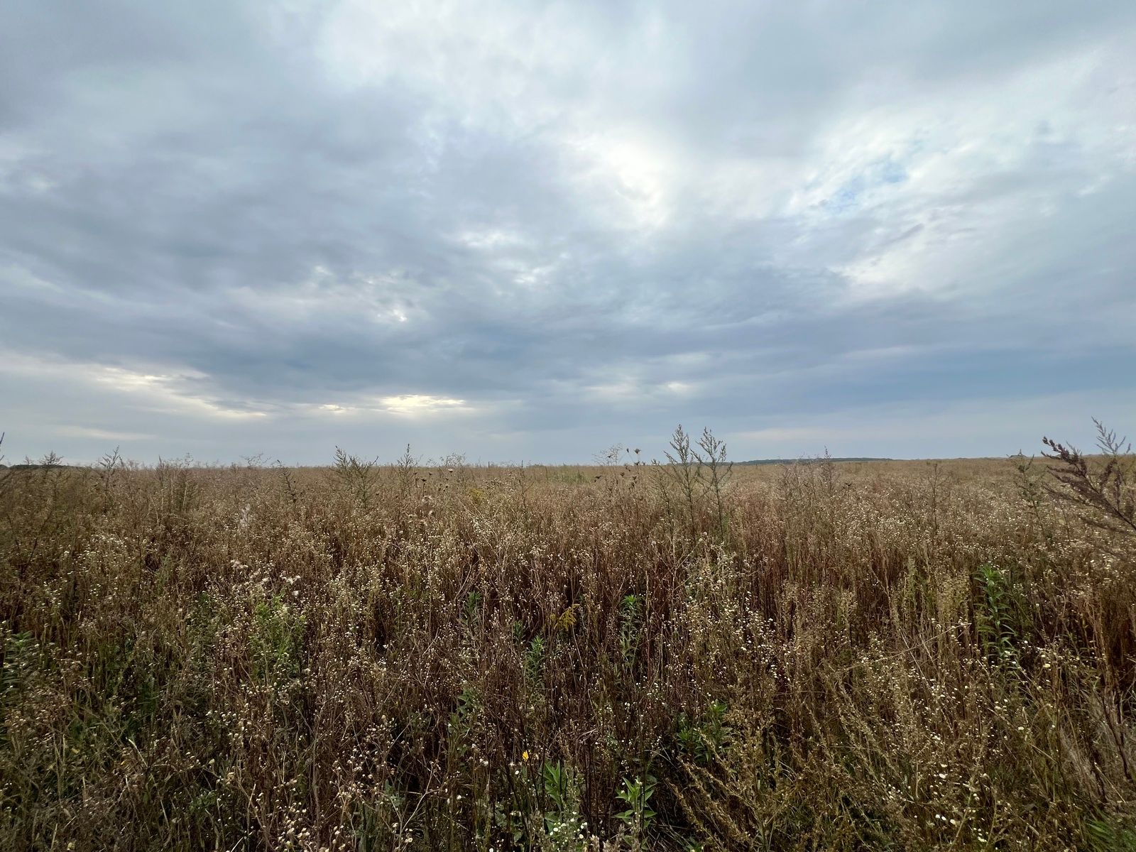 Как арендовать землю