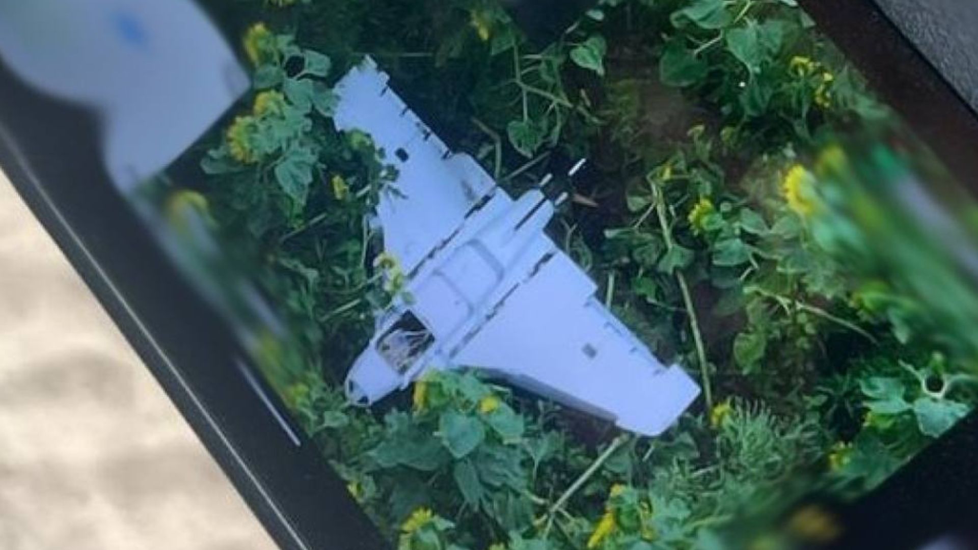 Российский дрон Гербера становится ударным