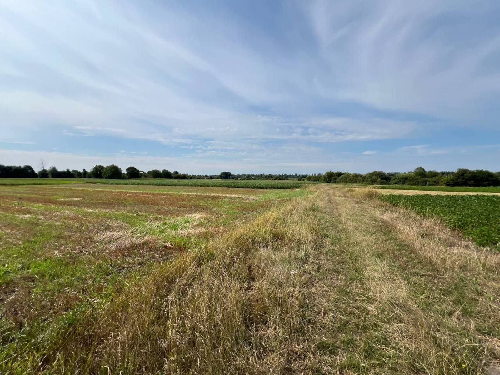 Що буде при ліквідації орендаря Що буде при ліквідації орендаря
