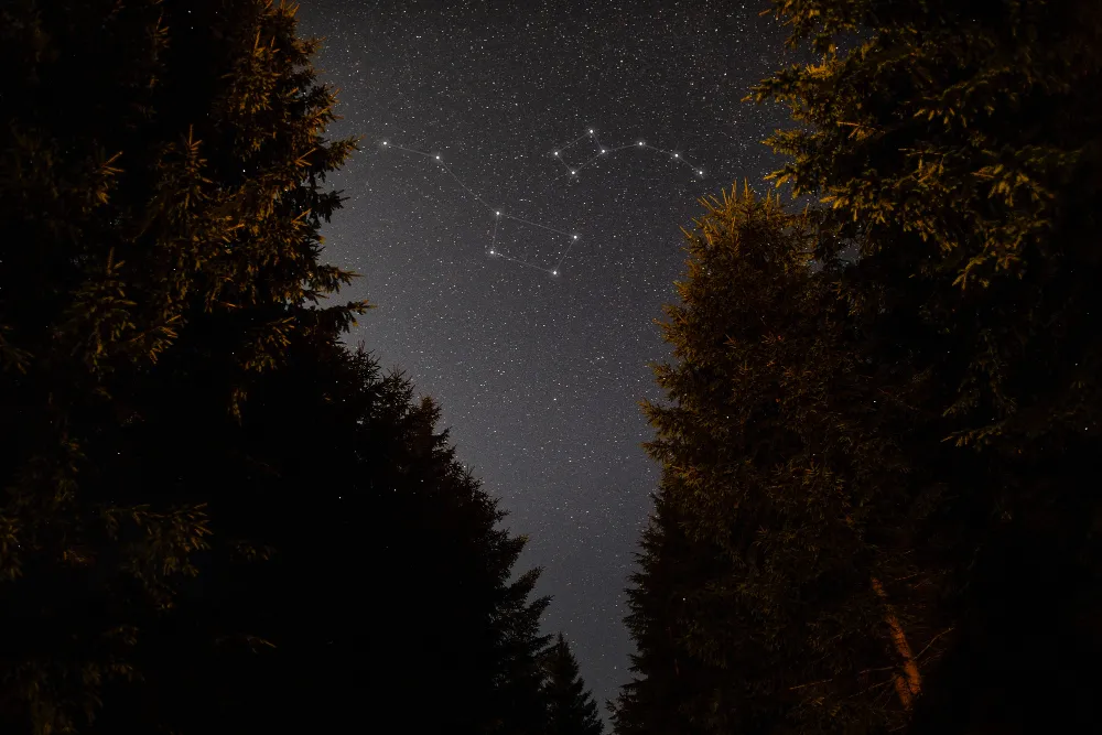 Народные приметы 