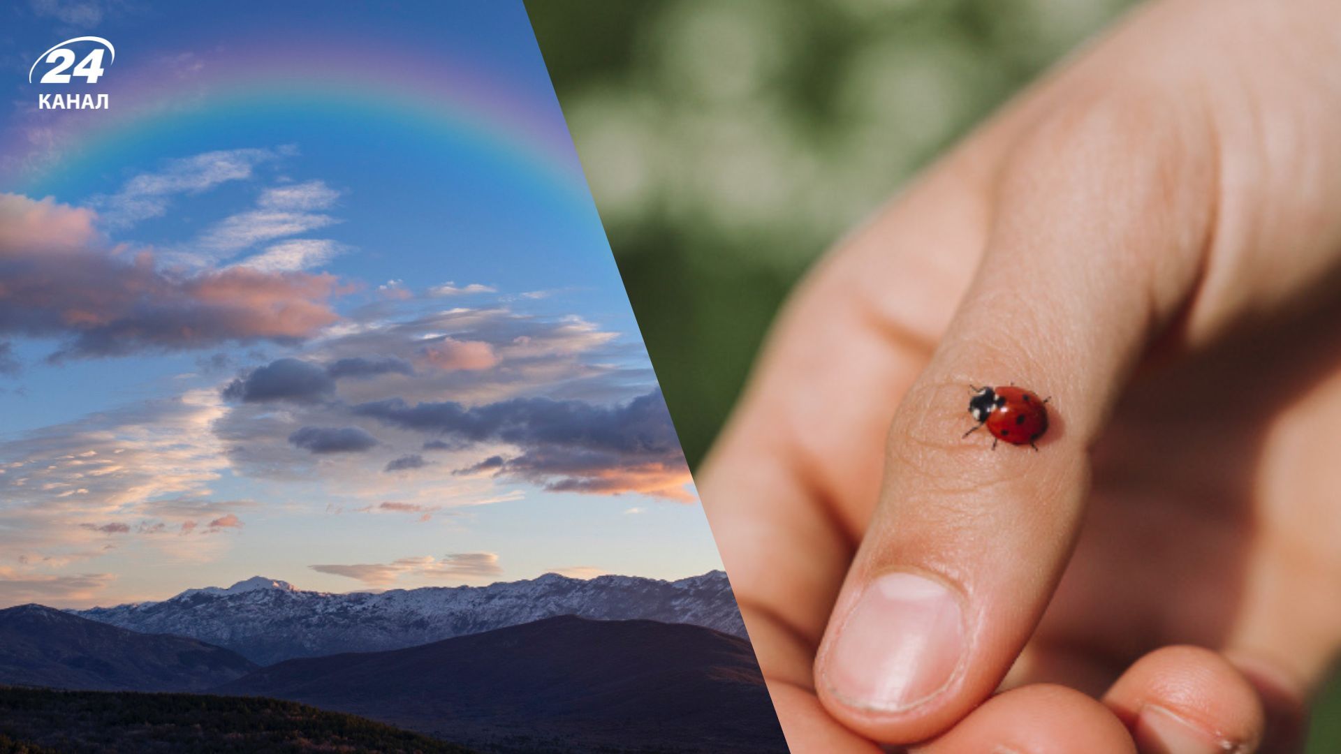 Приметы, которые предвещают только хорошее Приметы, которые предвещают только хорошее