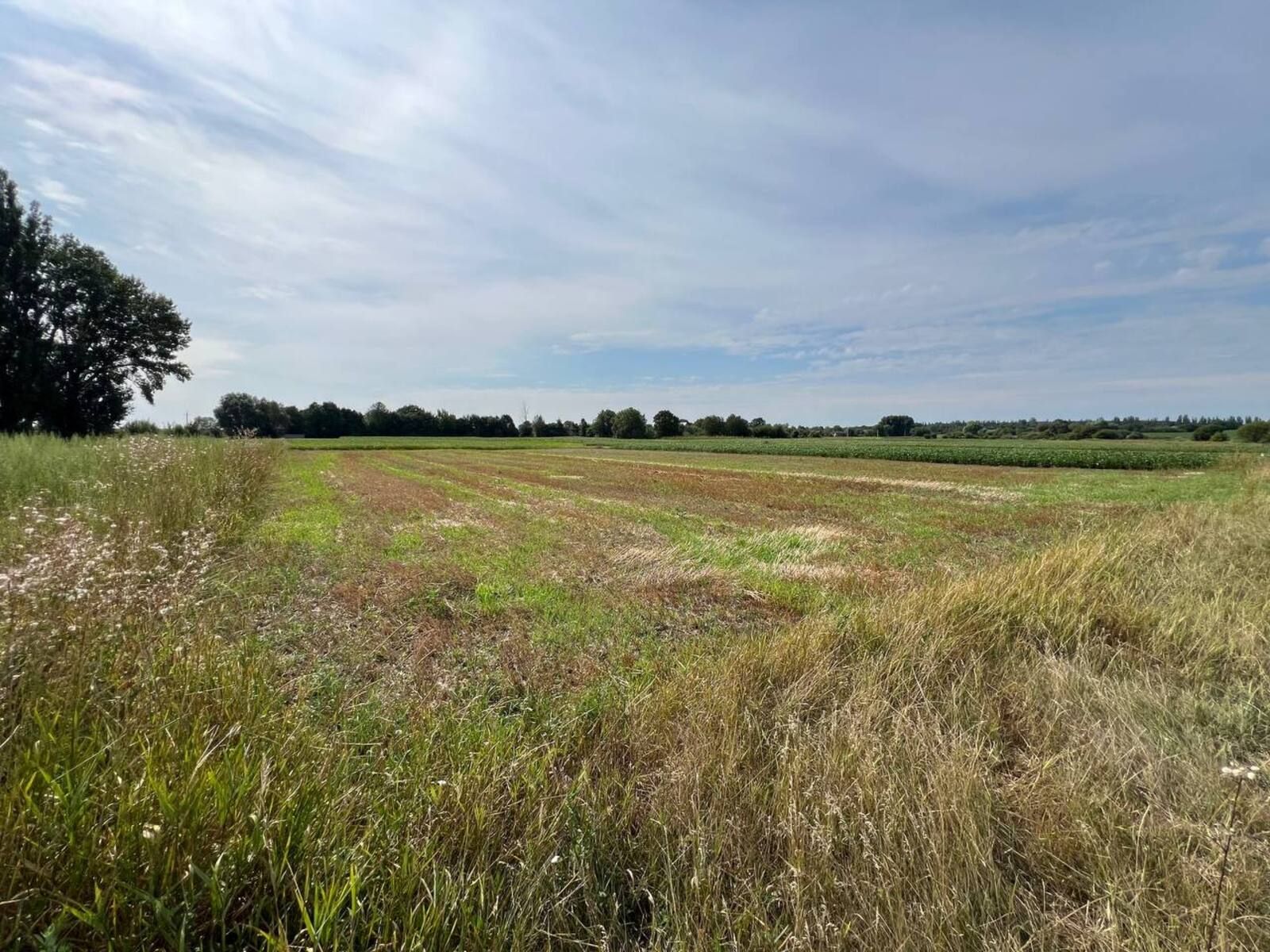 Скільки землі дадуть УБД Скільки землі дадуть УБД