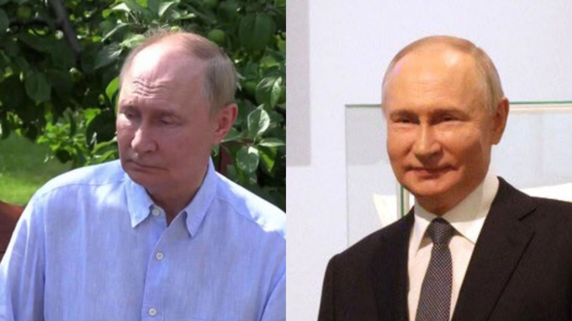 Путин на встречах с Лукашенко и Уиткоффом Путин на встречах с Лукашенко и Уиткоффом