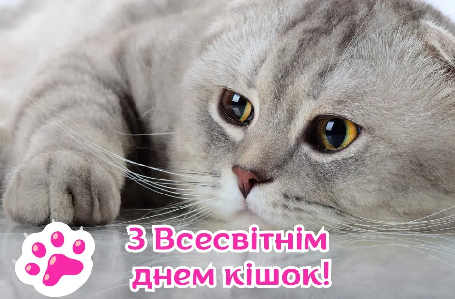 Поздравление со Всемирным днем кошек 2025 Поздравление со Всемирным днем кошек 2025
