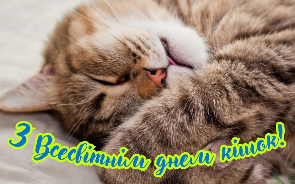 Поздравления со Всемирным днем кошек 2025 