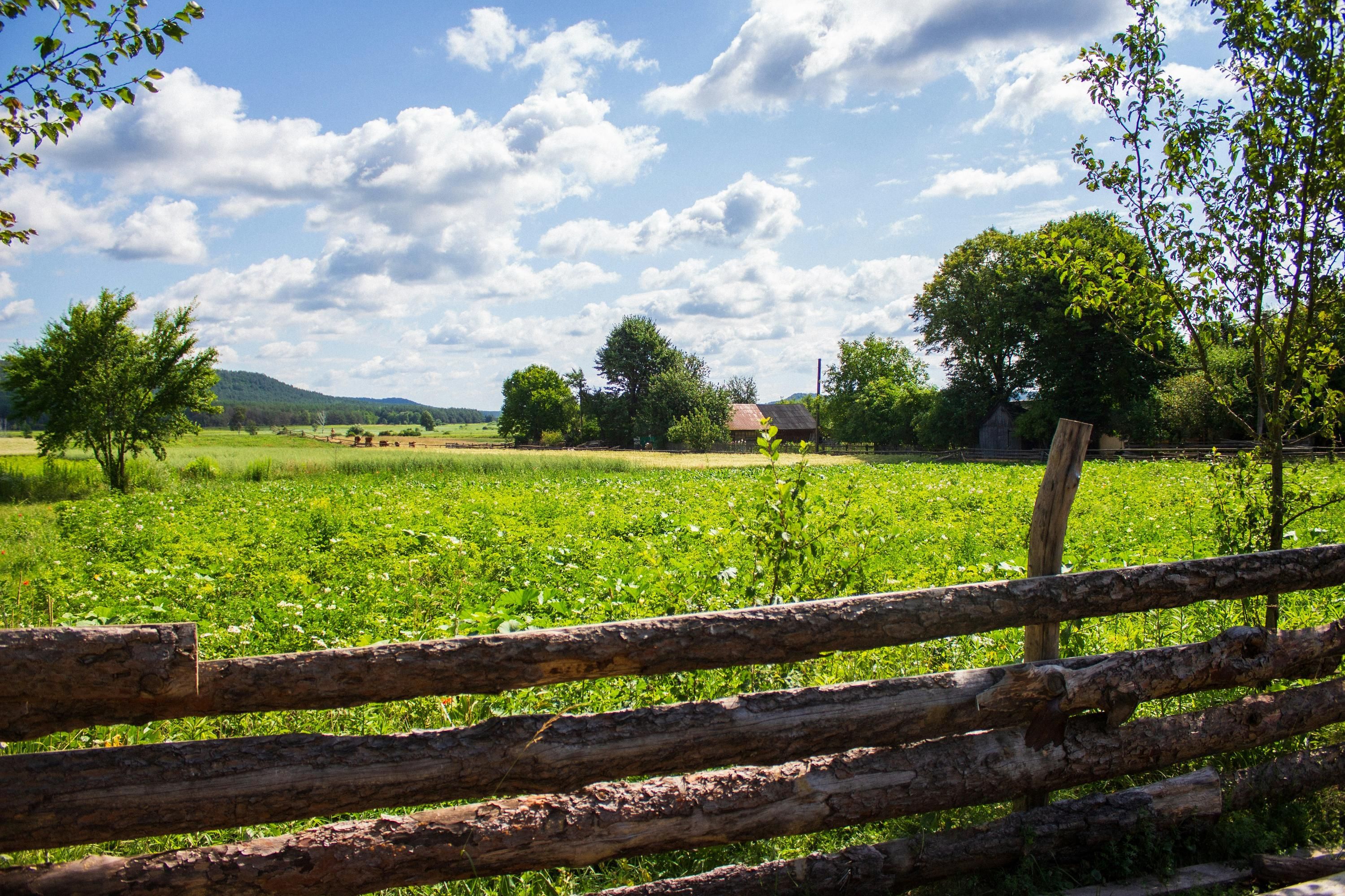 Погода Погода