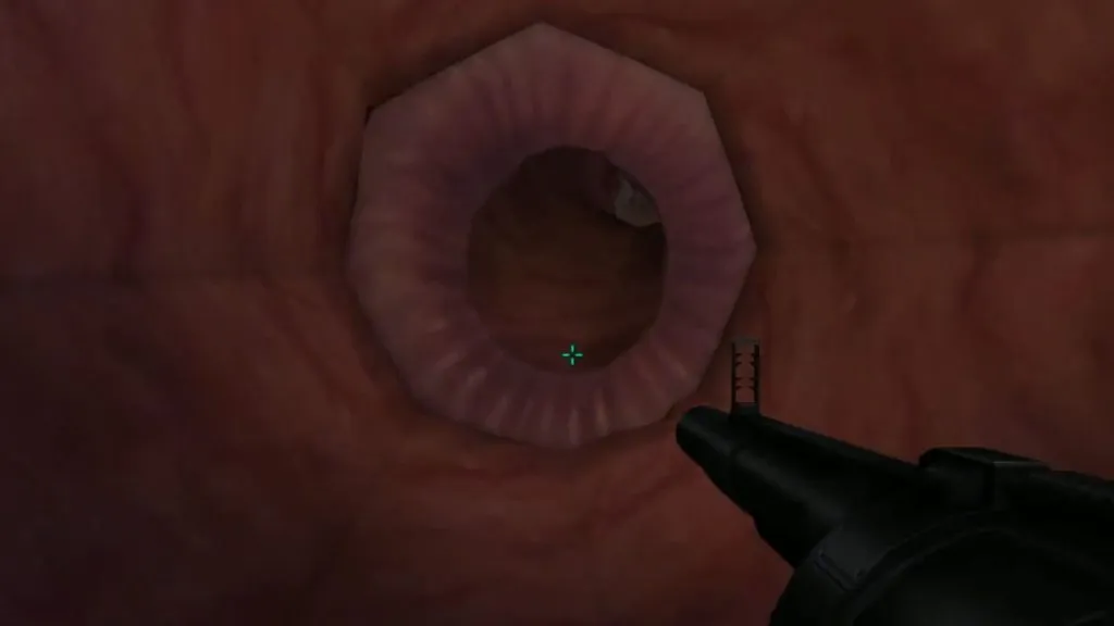 Дверь из игры Дверь из игры