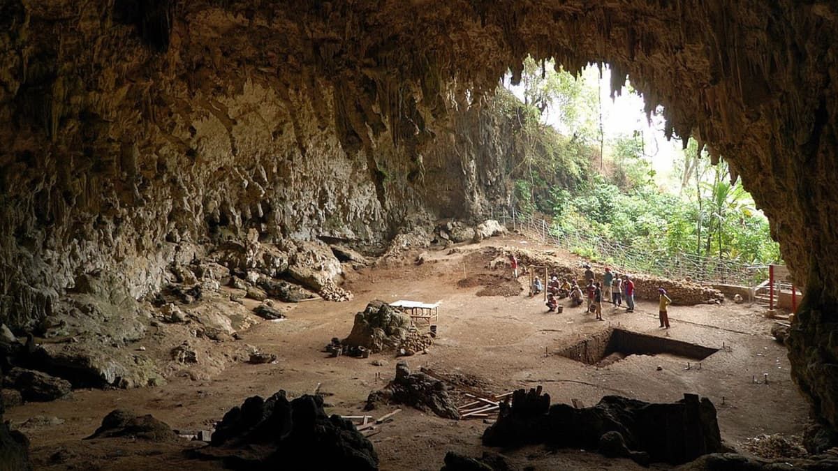 Хтось жив на Сулавесі мільйон років тому