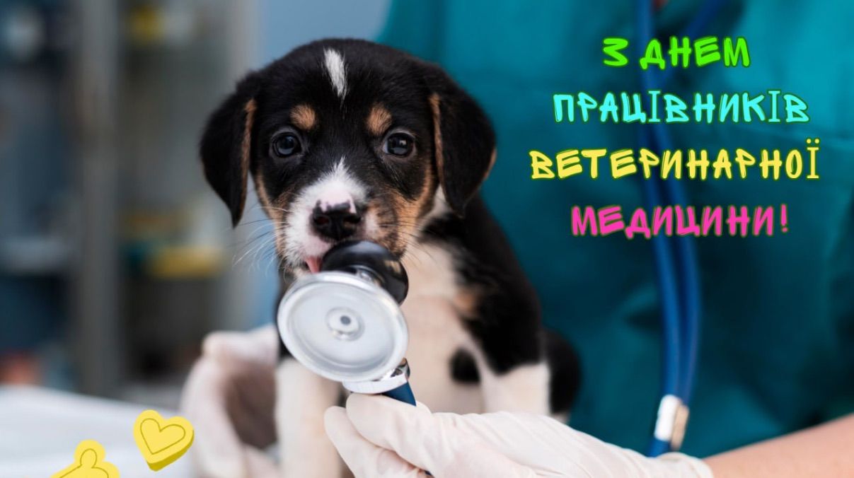 День ветеринара України 2025