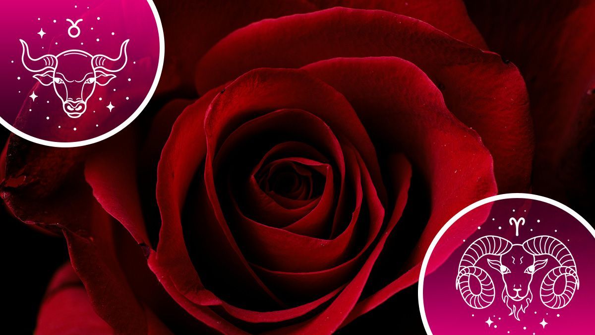 У кого будет страстная ночь У кого будет страстная ночь