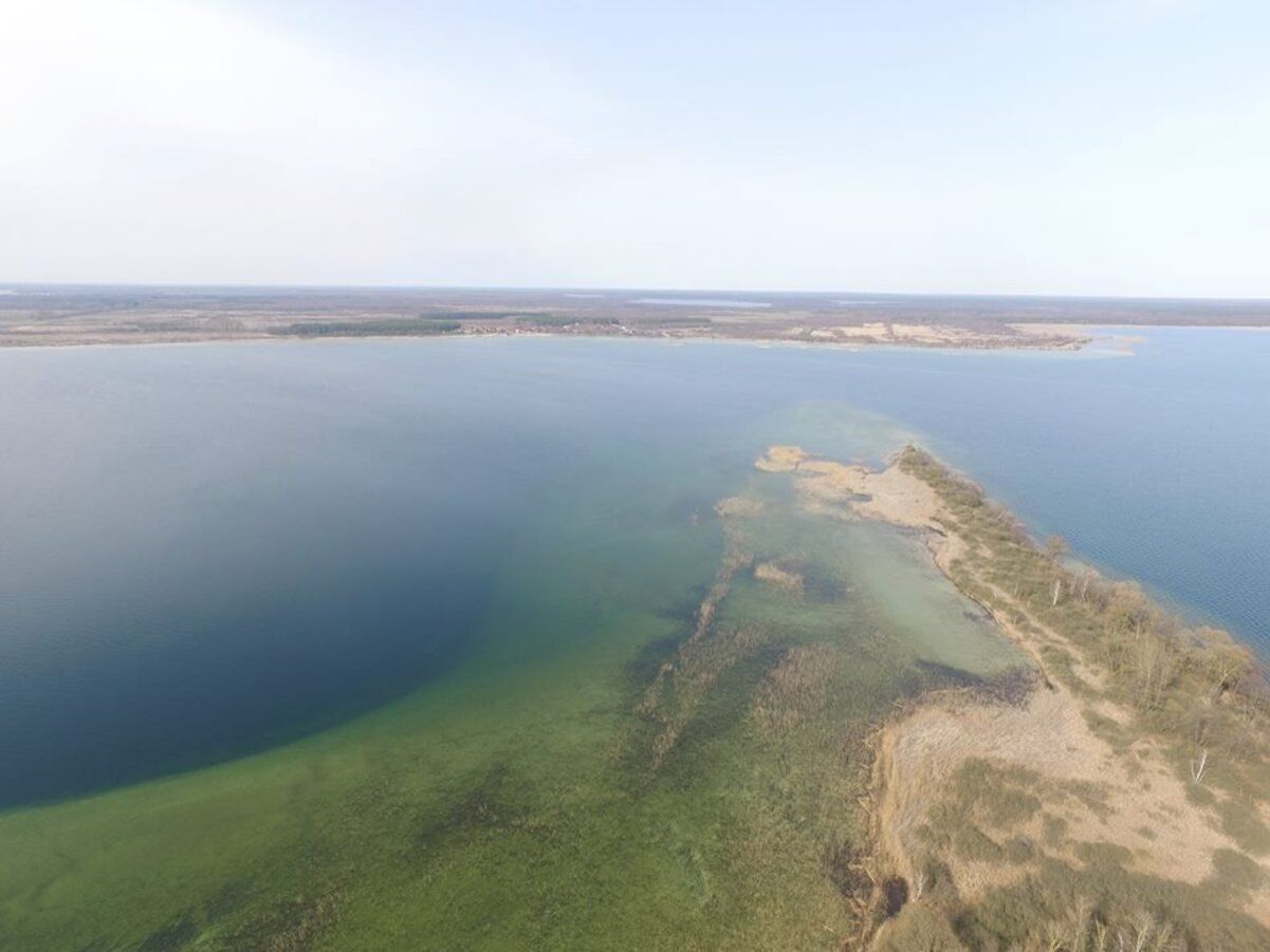 Одне з Шацьких озер має форму серця - що це за водойма, що про неї відомо - Travel