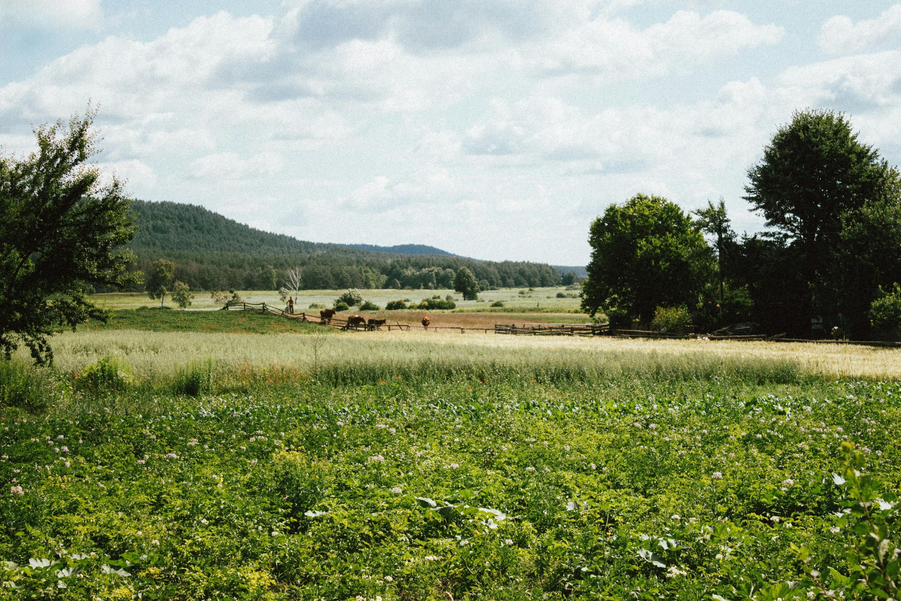 Погода на выходные