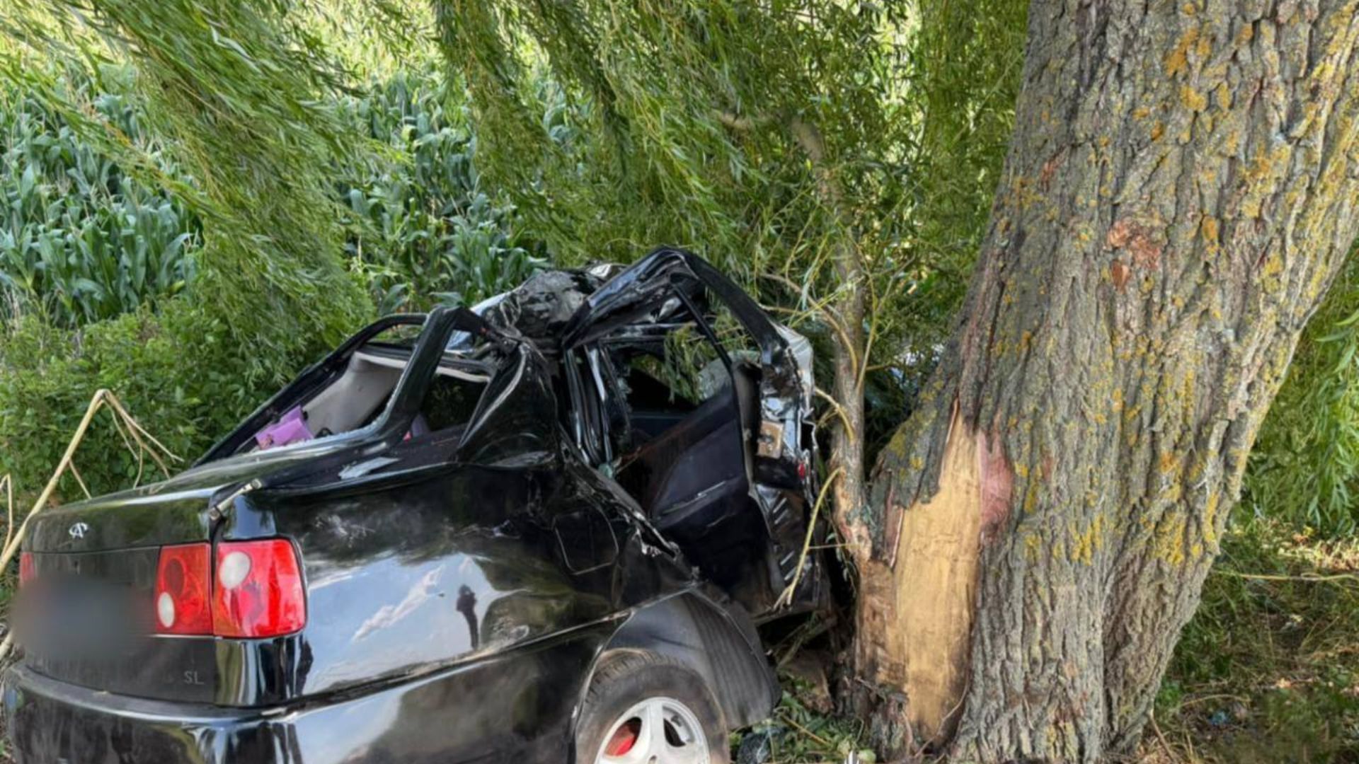 Смертельное ДТП на Киевщине