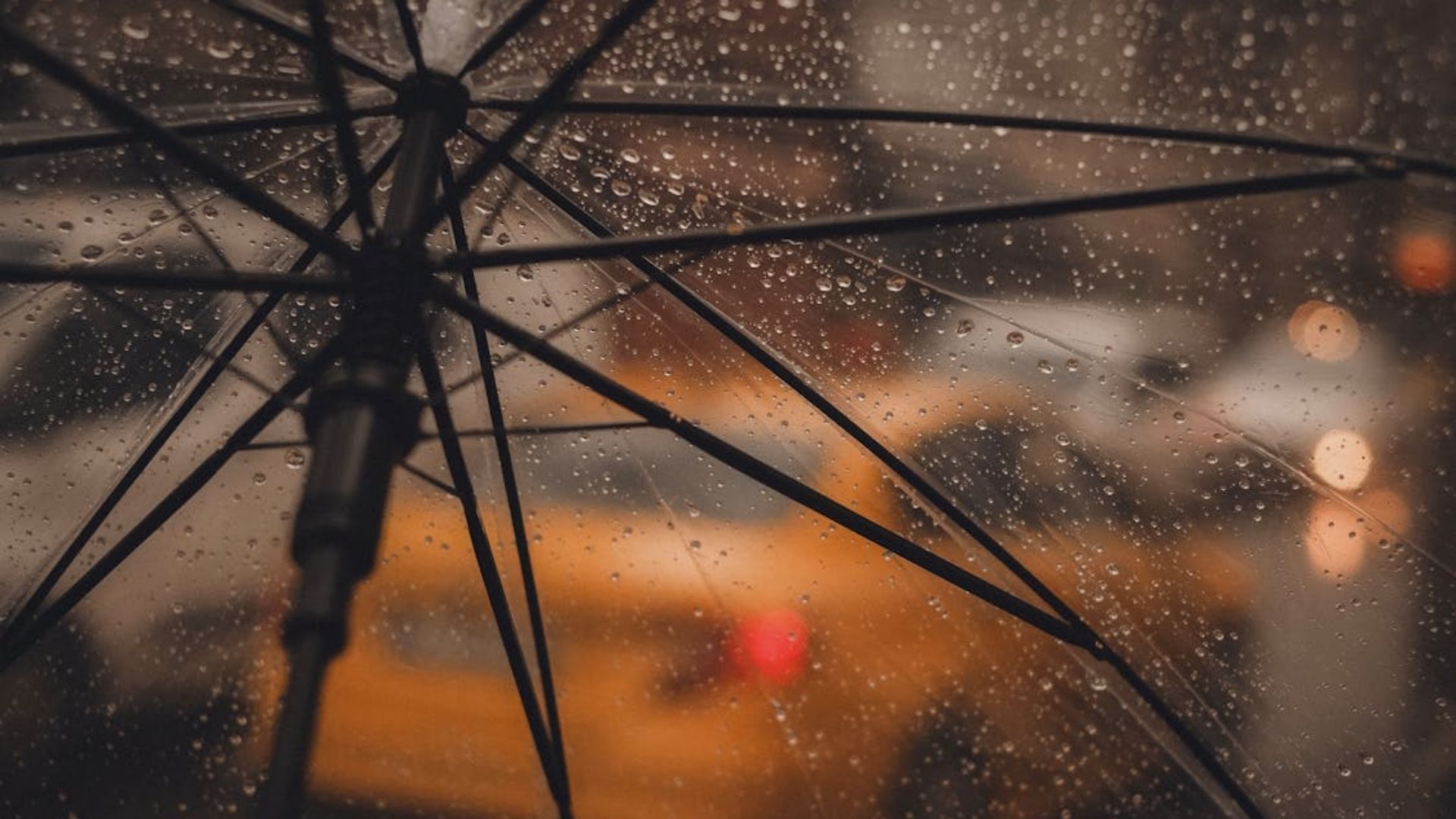 Погода у Львові 10 серпня 2025 року Погода у Львові 10 серпня 2025 року