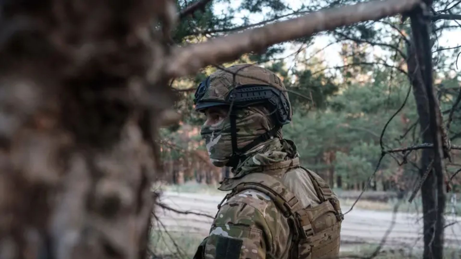 Сили оборони України звільнили та повністю зачистили Безсалівку на Сумщині - 24 Канал Сили оборони України звільнили та повністю зачистили Безсалівку на Сумщині - 24 Канал