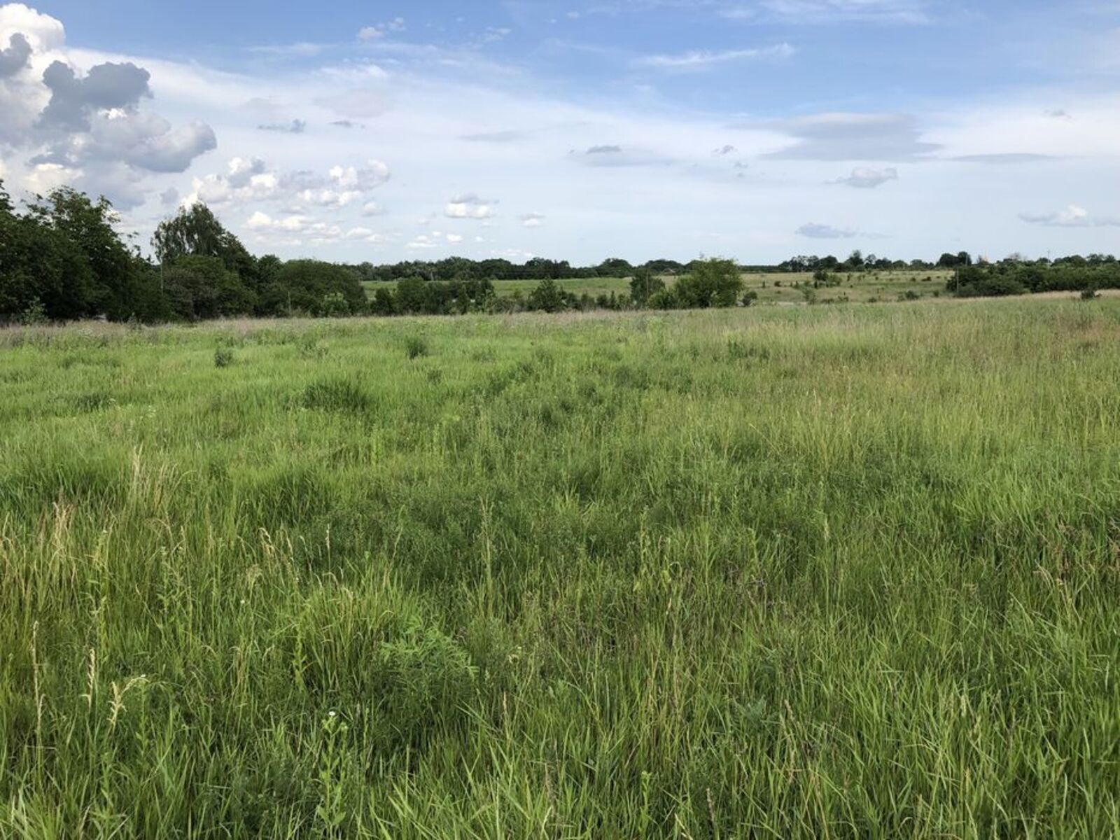 Должен ли арендодатель платить налог