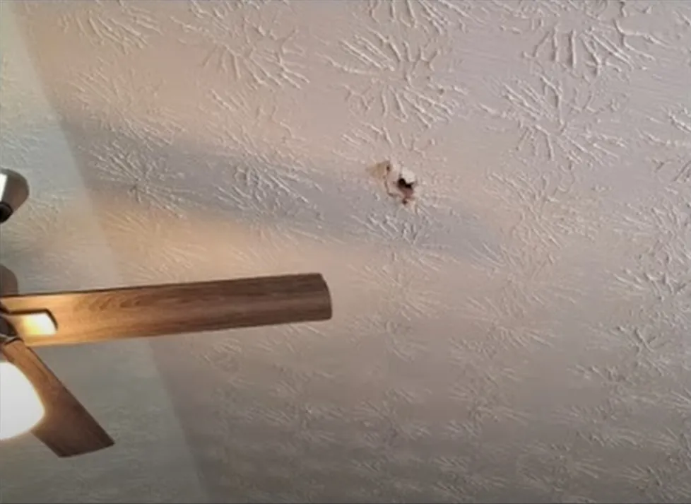 Метеорит пошкодив дах будинку