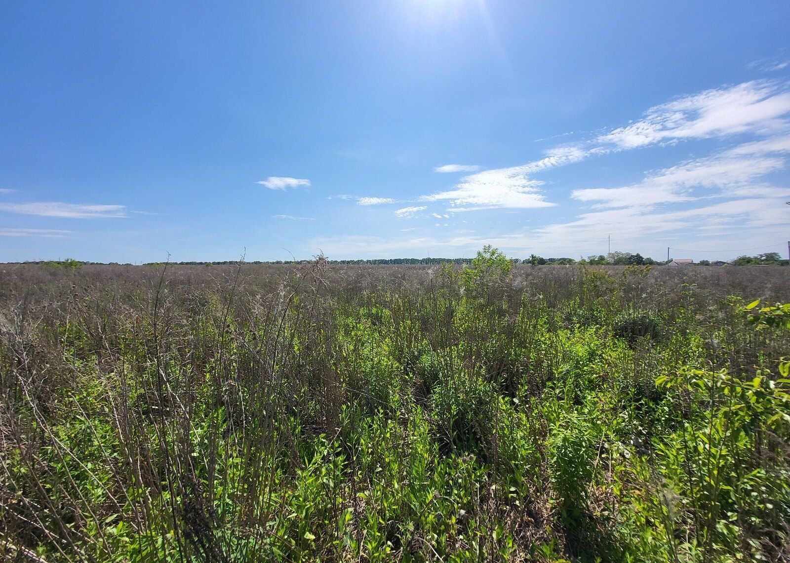 Как проверить чья земля