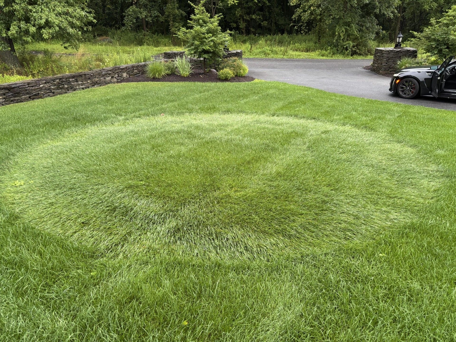 Круги имели вполне логичное происхождение