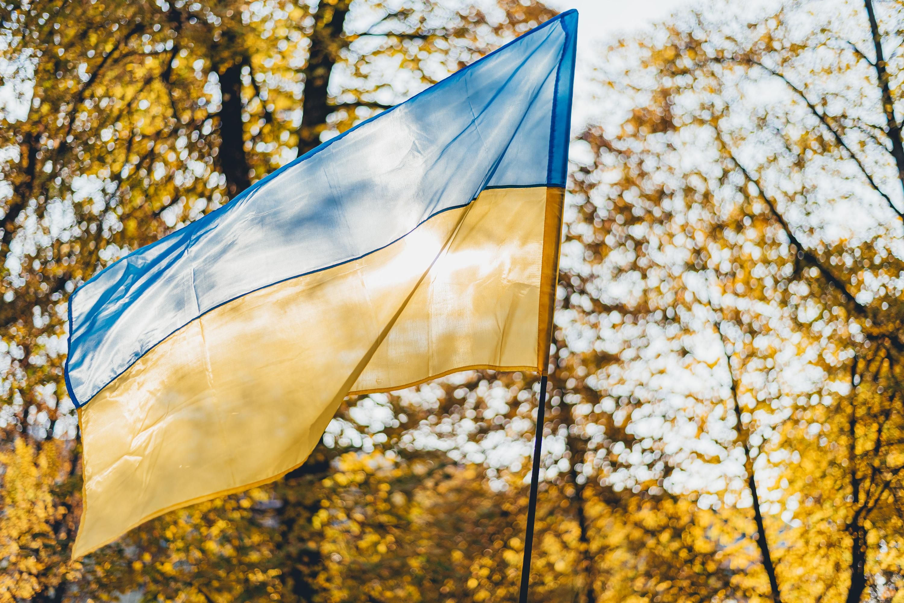 14-летнюю Анну удалось вернуть из оккупации