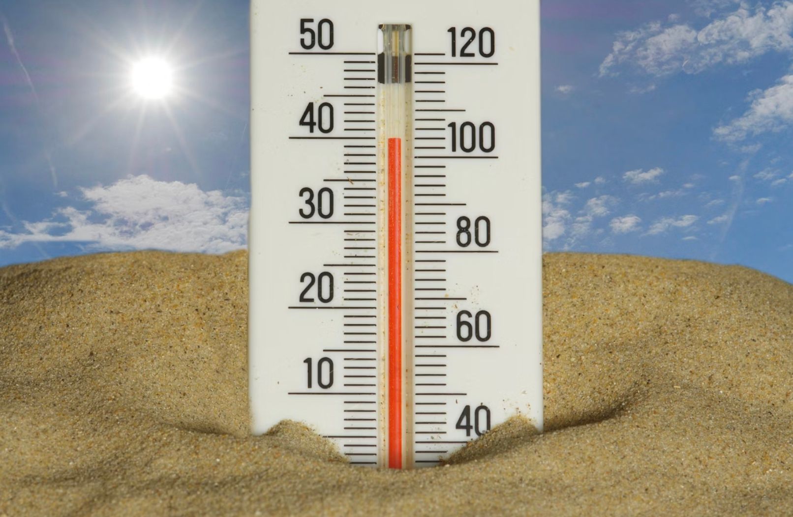 Германия готовится к сильной жаре Германия готовится к сильной жаре