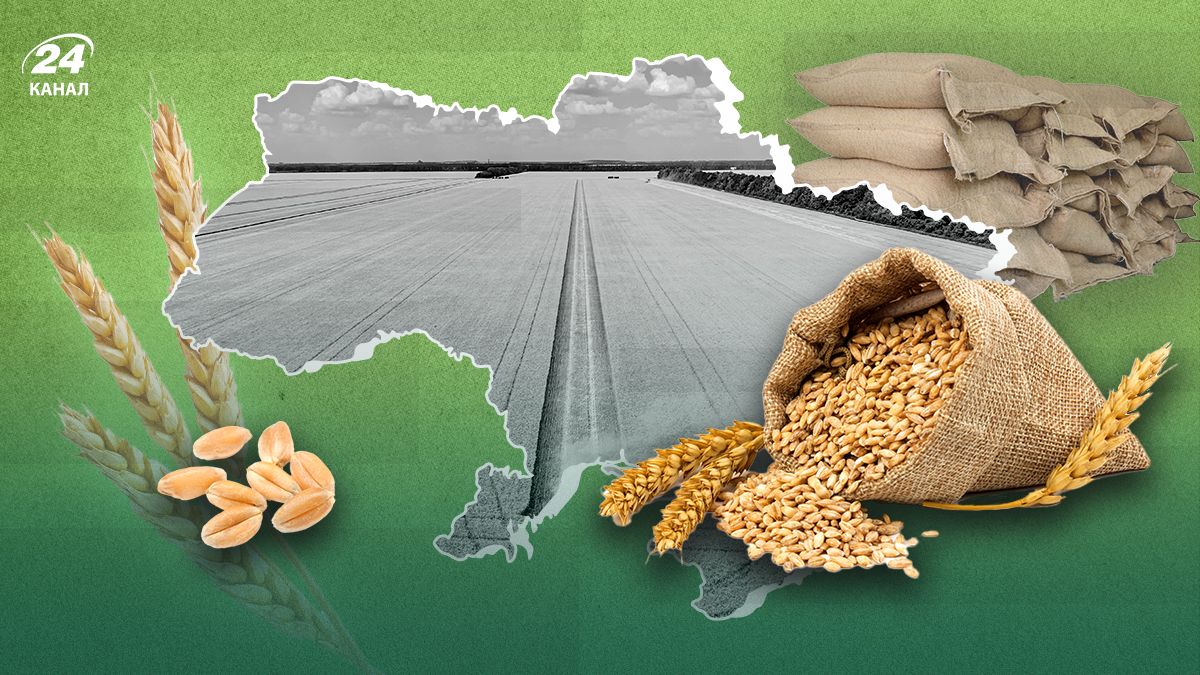 Який рік в Україні найврожайніший - коли був рекордний врожай зерна, скільки зібрали зерна