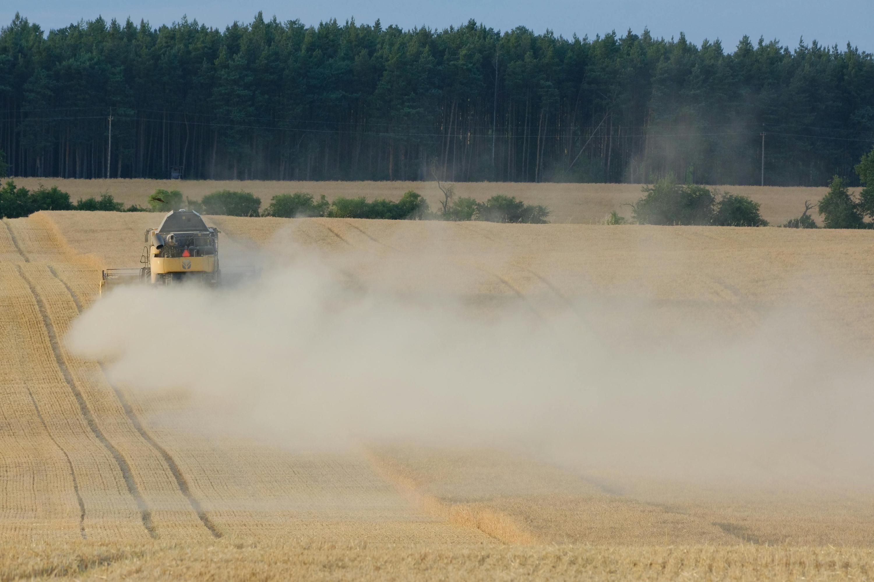 Хто може купити землю в Україні - чи може іноземець мати право на ділянку, які є обмеження