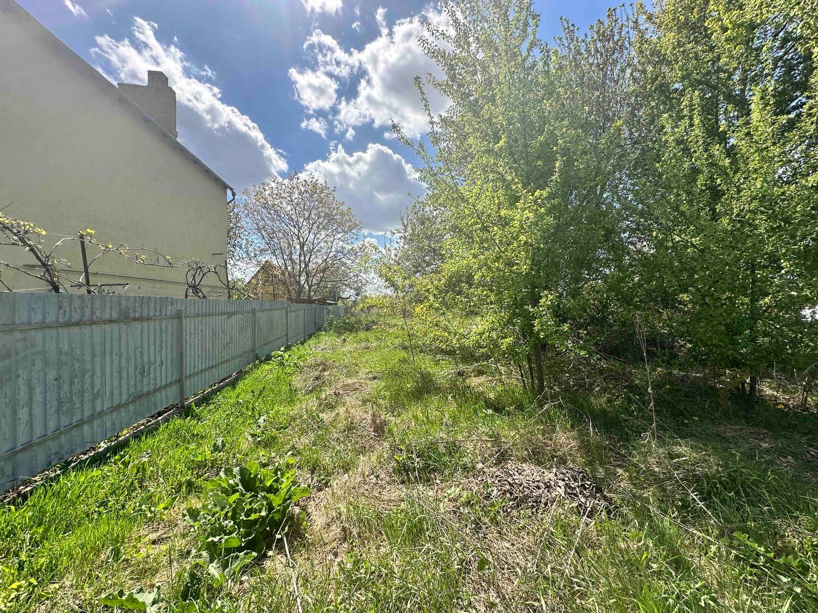 Скільки має бути від дерева до паркану Скільки має бути від дерева до паркану