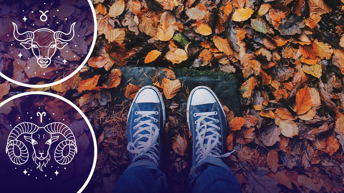 Кому прогнозируют сложную осень - гороскоп Кому прогнозируют сложную осень - гороскоп