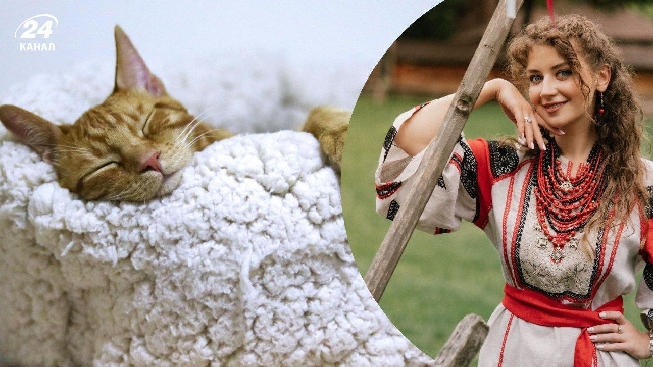 Как писать "спокойной ночи" правильно?