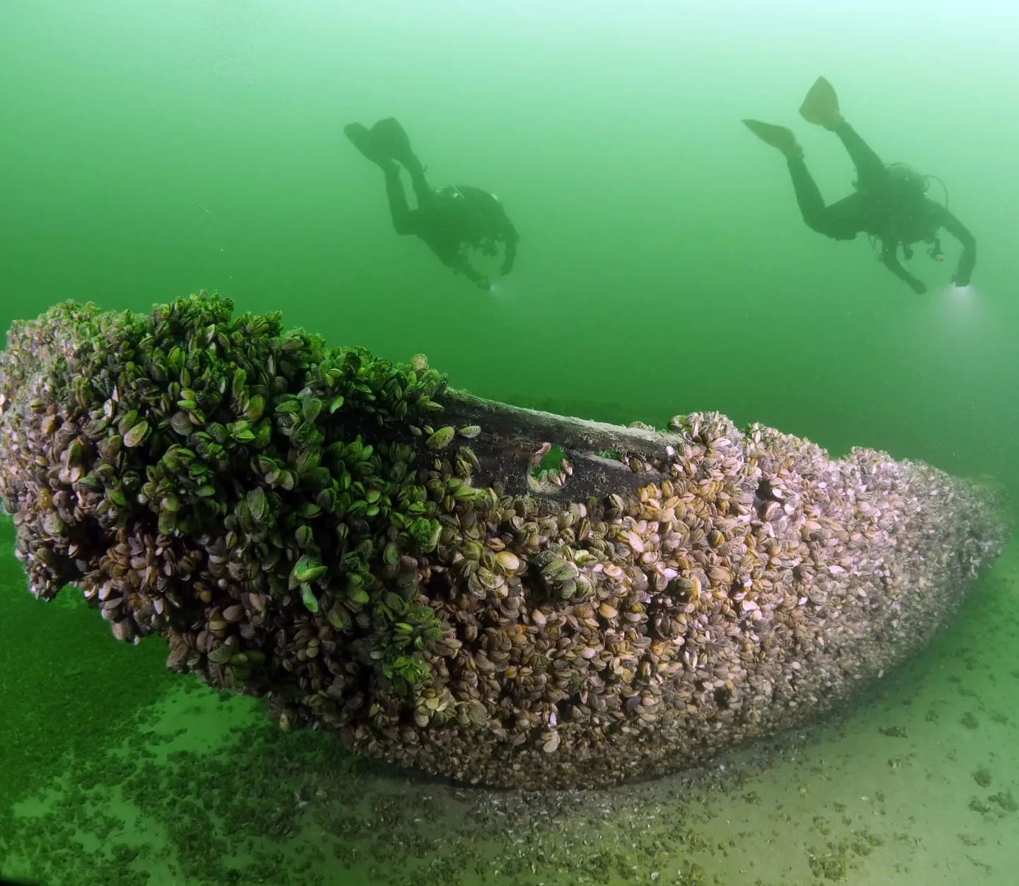 Затонулий вантажний вітрильник 19 століття Затонулий вантажний вітрильник 19 століття