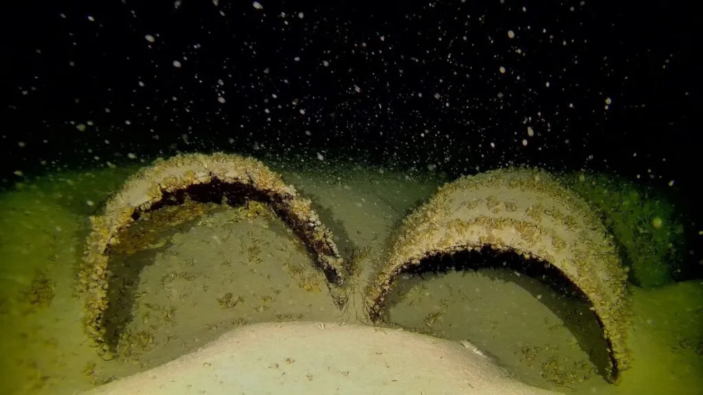 Бочки на дні озера