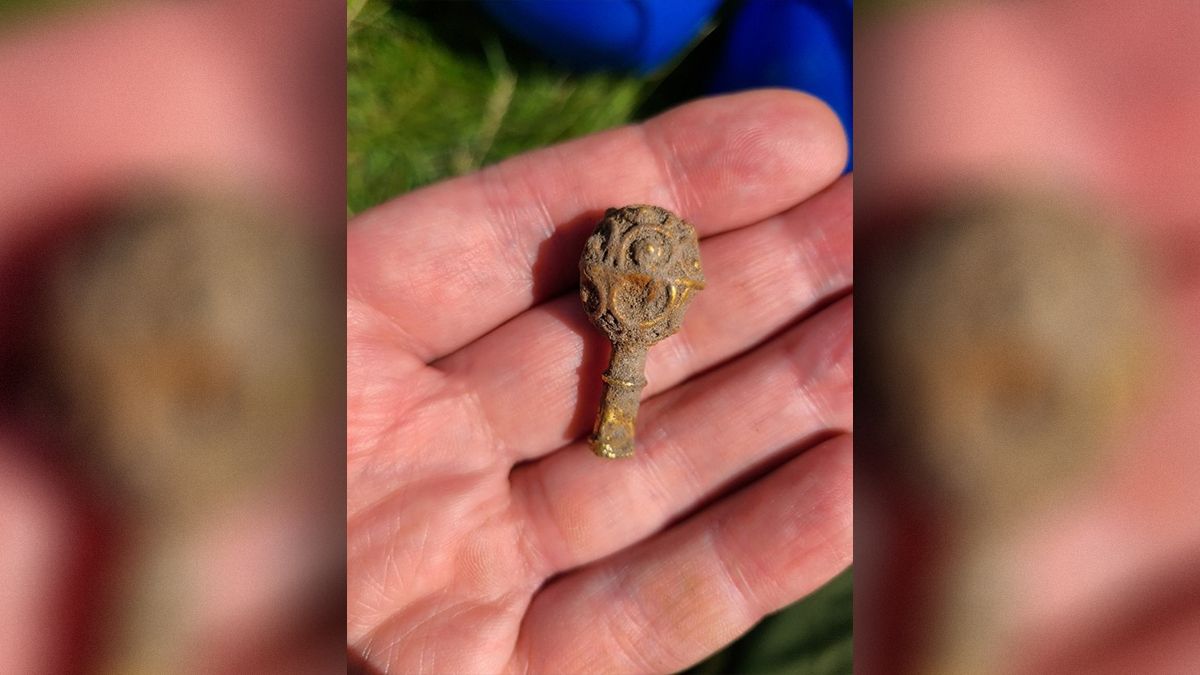 Золотий артефакт 9 століття знайдений у Британії студенткою на перших розкопках Золотий артефакт 9 століття знайдений у Британії студенткою на перших розкопках