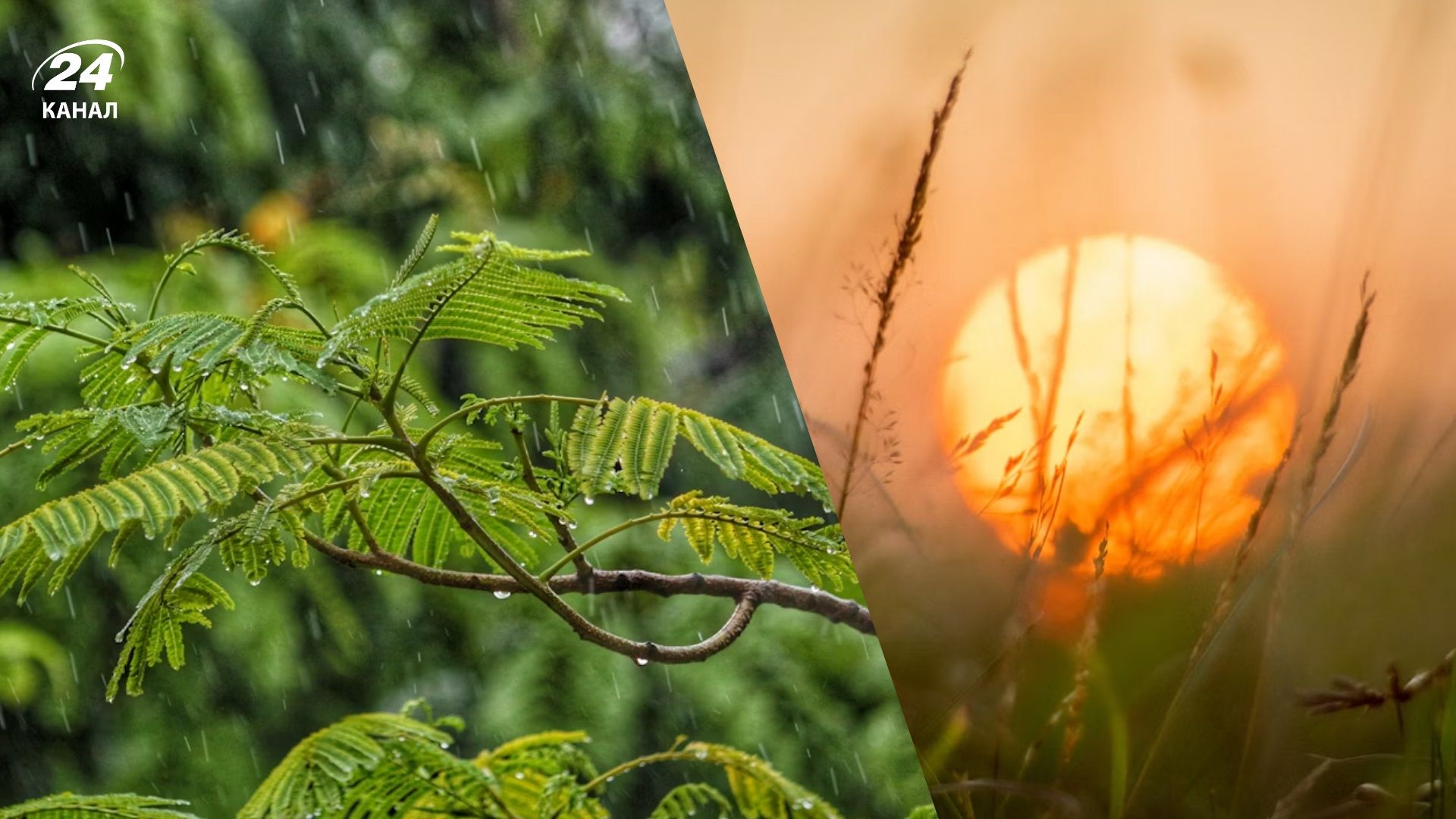 Прогноз погоды на выходные 16-17 августа 2025 года Прогноз погоды на выходные 16-17 августа 2025 года