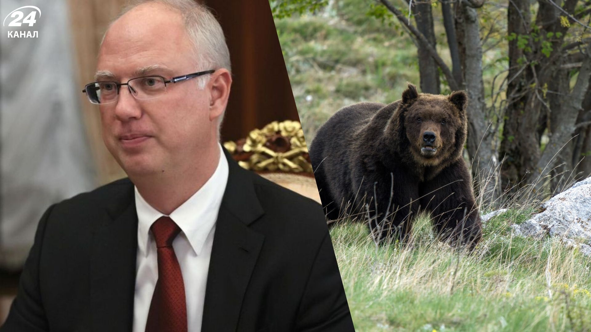 Медведь сбежал от российского переговорщика Дмитриева: видео неожиданной встречи на Аляске - 24 Канал Медведь сбежал от российского переговорщика Дмитриева: видео неожиданной встречи на Аляске - 24 Канал