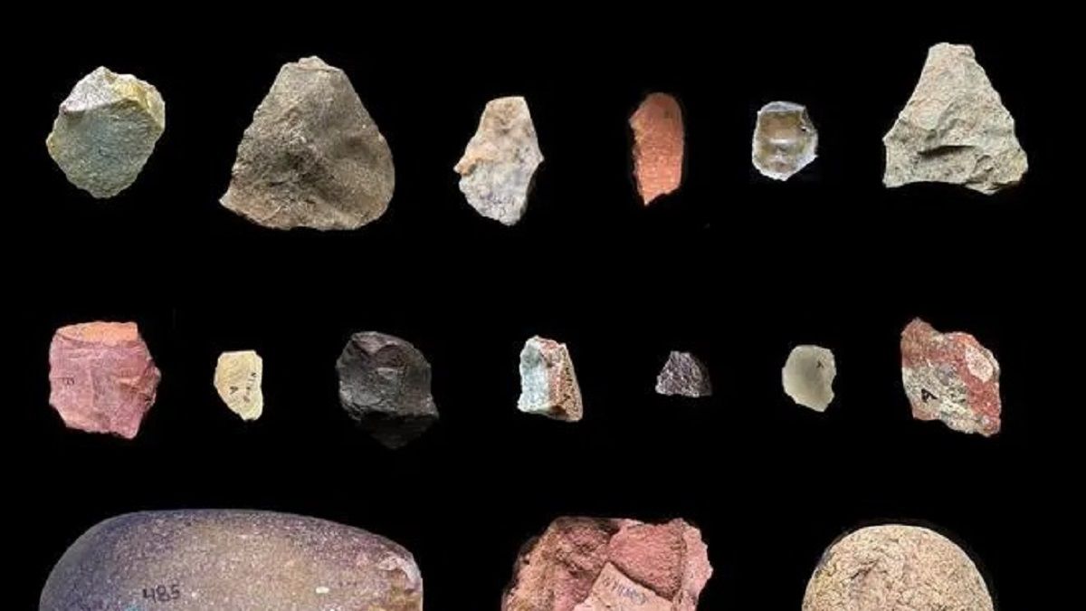 Знайдено найдавніші докази перевезення ресурсів прадавніми людьми Знайдено найдавніші докази перевезення ресурсів прадавніми людьми