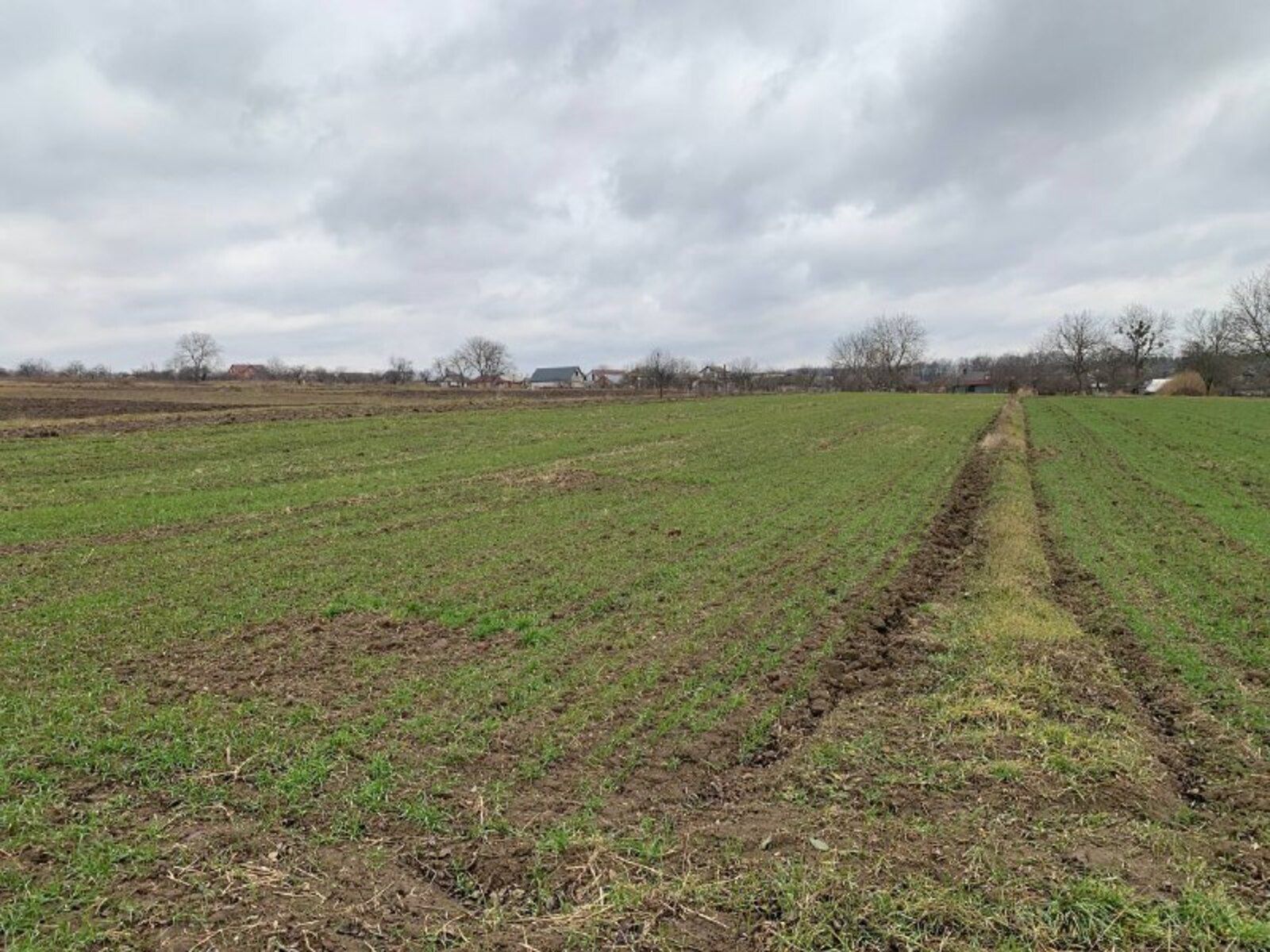 Чи можна рухати межі ділянок Чи можна рухати межі ділянок