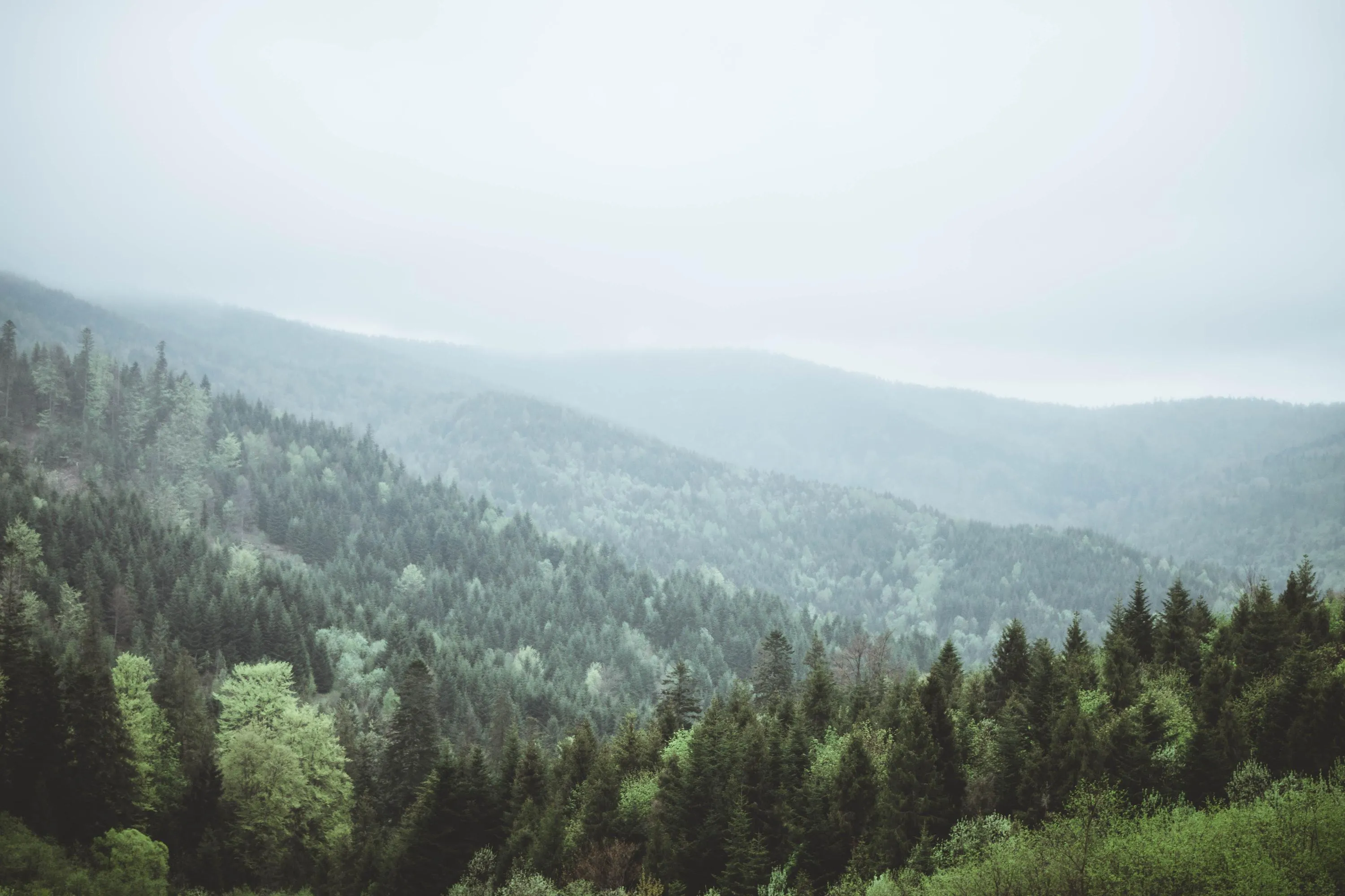 Карпатские горы Карпатские горы