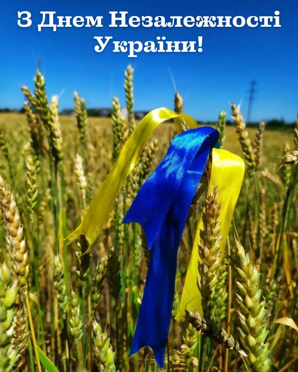 Привітання з Днем Незалежності України 2025  