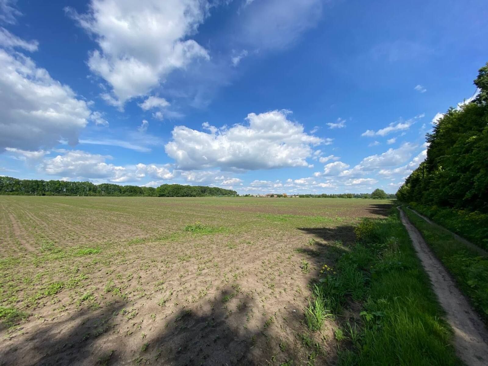 Сколько земли дадут УБД Сколько земли дадут УБД