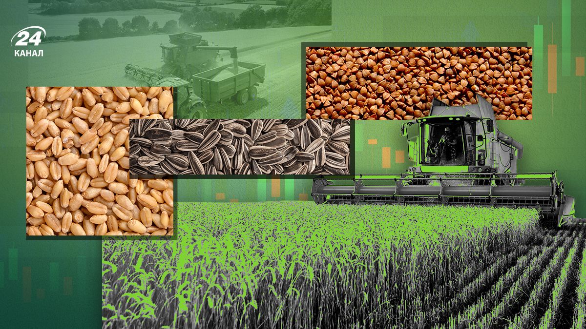 Когда был рекордный урожай в Украине - в каком году был собран самый большой урожай Когда был рекордный урожай в Украине - в каком году был собран самый большой урожай