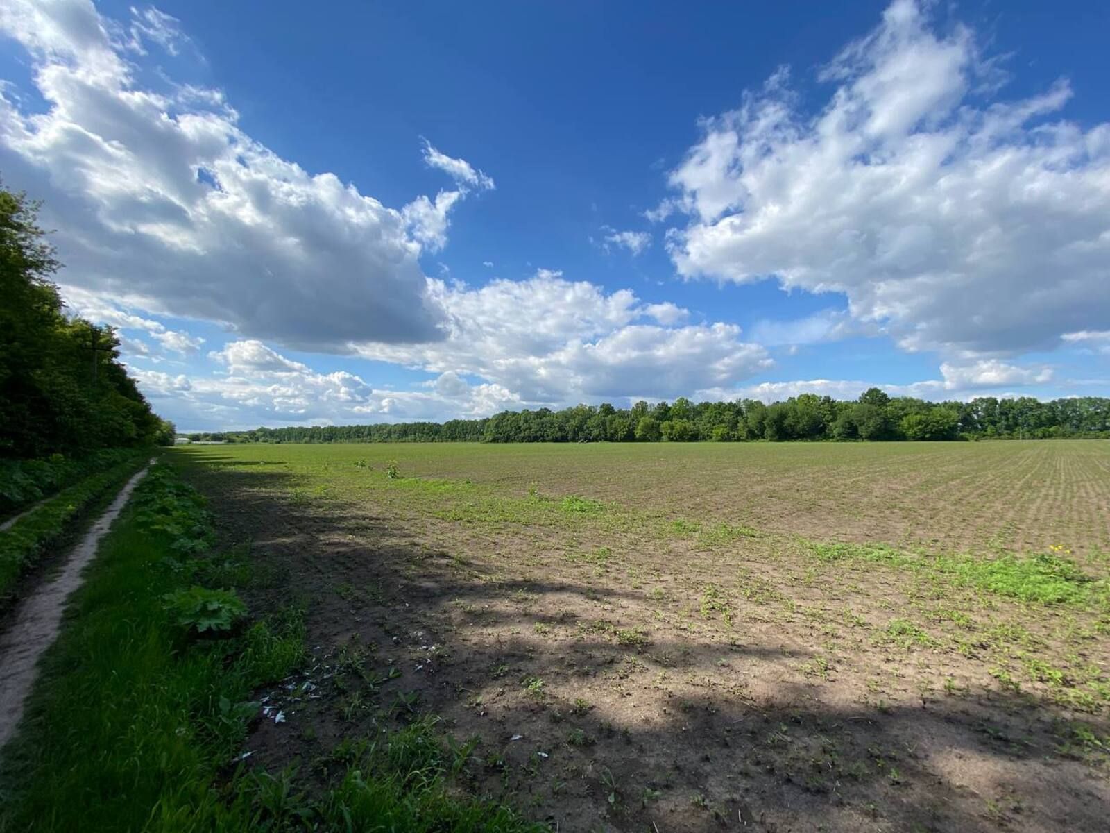 Заява на отримання землі Заява на отримання землі