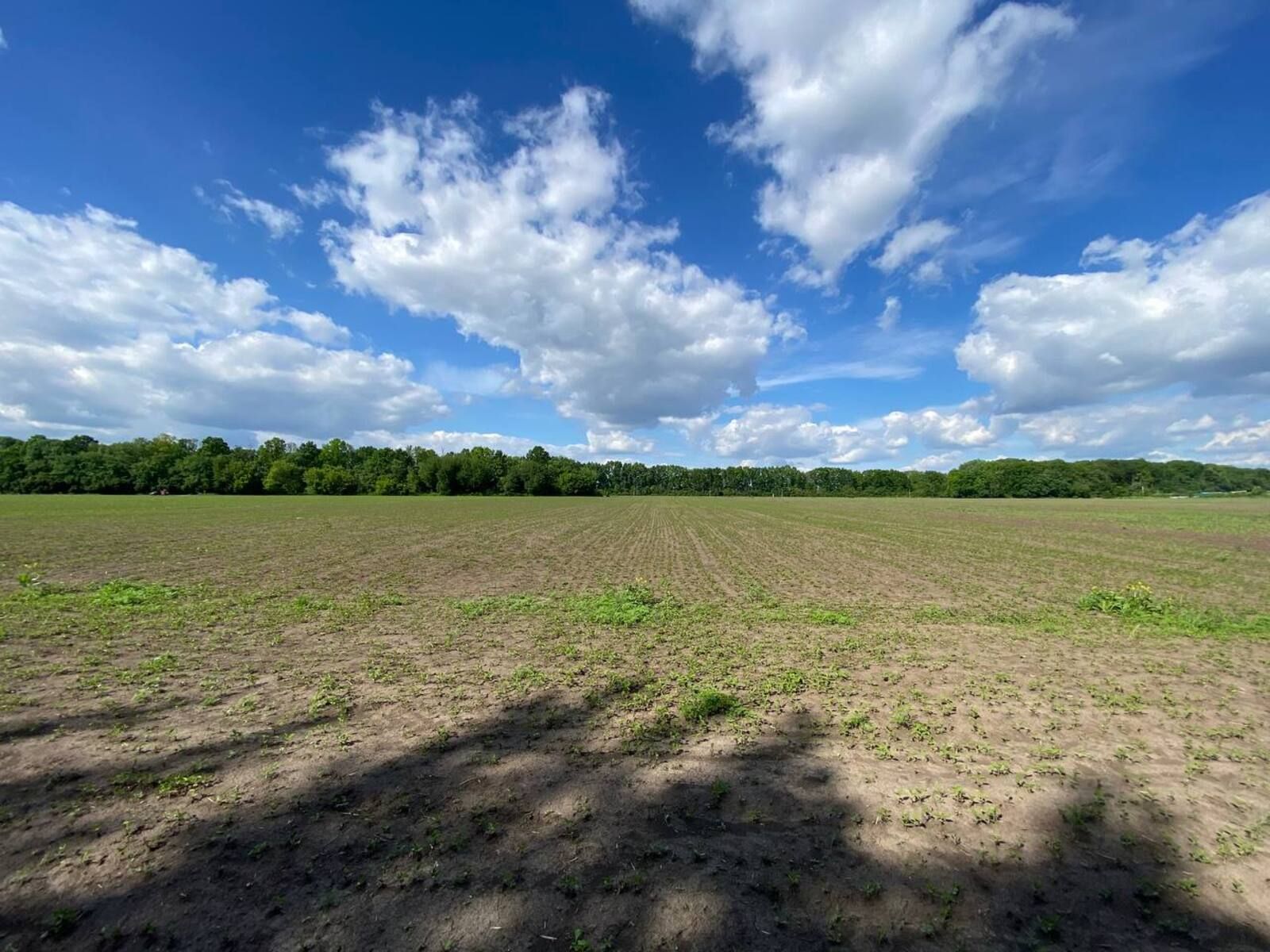 Сколько приватизировать земли Сколько приватизировать земли