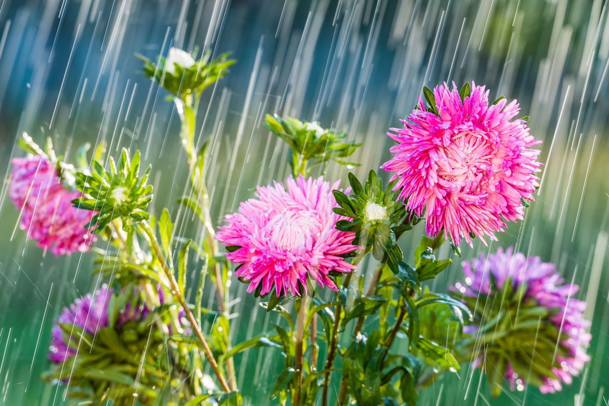 Сонце зміниться на дощі та грози, але подекуди буде +33: прогноз погоди на 22 серпня - 24 Канал Сонце зміниться на дощі та грози, але подекуди буде +33: прогноз погоди на 22 серпня - 24 Канал